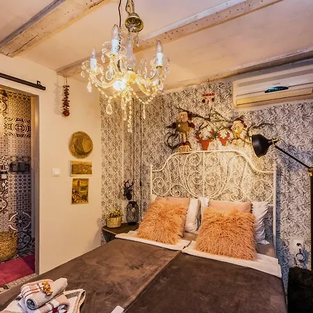 Livo Disno 12 スプリト