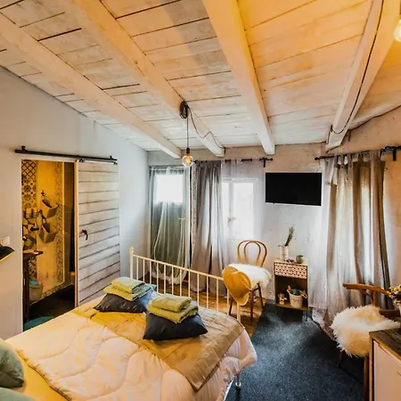 Livo Disno 12 Apartman *